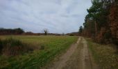 Tour Wandern Noyant-de-Touraine - Noyant-de-Touraine - PR - 14.5km 170m 3h15 - 2021 02 20 - Photo 3