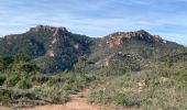 Trail Walking Saint-Raphaël - Les Suvières depuis Belle Barbe - Photo 1