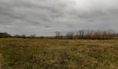 Trail Walking Sprimont - banneux . rougethier . nanneaux - Photo 5