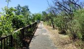 Tocht Stappen 's-Gravenbrakel - Promenade des canaux de Ronquières - Photo 19