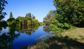 Excursión Senderismo Athée-sur-Cher - Athée-sur-Cher - Port Chandon - 18km 140m 4h05 - 2022 07 24 - Photo 9