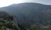 Trail Walking Beaumont-du-Ventoux - Chapelle St Sépulcre - La plate - Pic de Comte - Photo 1