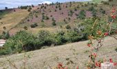 Tour Wandern Sainte-Croix-en-Jarez - Saint Croix en Jarrez - Photo 5