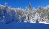 Randonnée Marche Bouvante - Crête des Gagères - Photo 3