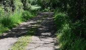 Trail Walking Pontgibaud - LA CHEIRE DE PONTGIBAUD - Photo 7