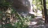 Trail Walking Mancenans-Lizerne - Mancenans Lizerne, château hermitage - Photo 10