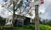 Randonnée A pied Zafferana Etnea - Sentiero delle Ginestre tappa 2 - Photo 2