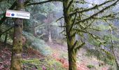 Tour Wandern Saint-Étienne-lès-Remiremont - Le sentier des Pourdingues - Photo 6