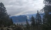 Randonnée Marche Fontaine - Le Moucherotte par le Vallon des Forges et le chemin de crête - Photo 9