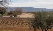 Trail Walking Les Arcs-sur-Argens - LES ARCS - DE SAINTE ROSELINE A VALBOURGES - Photo 7