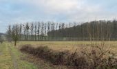 Tour Wandern Metzig - Étang des nénuphars  - Photo 2