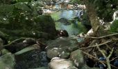Trail Walking Vallées-d'Antraigues-Asperjoc - Antraigues - Photo 2