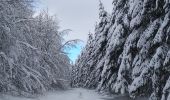 Tocht Stappen Malmedy - Tro Maret-les Six Hetres-Bernister - Photo 6