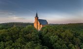 Tocht Te voet Litzendorf - Rundweg von Schammelsdorf zum Gügel - Photo 5