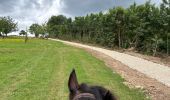 Trail Horseback riding Soucht - Urtzviller - Photo 6