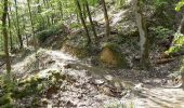 Trail Walking Châtel-Guyon - VALLEE DE SANS SOUCI - Photo 3
