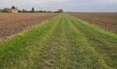 Trail Walking Amponville - Amponville - Dolmen dit la Pierre Larmoire - Photo 16