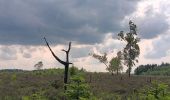 Randonnée Marche Theux - au sud de Bronrome  - Photo 9
