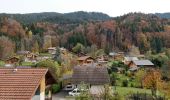 Tocht Stappen Arâches-la-Frasse - Les Carroz, Mont Favy, pierre à Laya, Araches, remontée par les Nantes praz rôti, retour par les grangettes - Photo 4