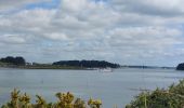 Tocht Stappen Arzon - PR_56_Arzon_AA_01_Pointes-Du-Golfe_Circuit1b_20230501 - Photo 4