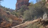 Trail Walking Unknown - 2024 Canyonlands The Needles - Photo 10