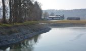 Tocht Te voet Bad Zurzach - Barz Fähre - Koblenzer Laufen - Photo 5