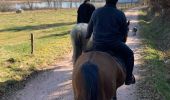 Trail Horseback riding Raon-l'Étape - Claude yogo tiboy Vispa  - Photo 2