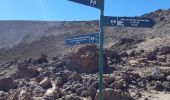 Trail Walking La Orotava - Canaries - Tenerife - Ascension du Teide - Photo 1