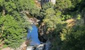 Trail Walking Vallées-d'Antraigues-Asperjoc - Antraigues - Photo 14