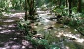 Trail Walking Cerdon - Cerdon Cascade de la Fouge - Photo 3