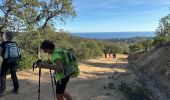 Trail Walking Roquebrune-sur-Argens - Col du Bougnon : la Garonnette - Photo 5