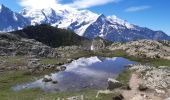 Randonnée Marche Chamonix-Mont-Blanc - brevent aiguilkettes - Photo 5