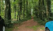 Tour Wandern Soucy - Petite promenade dans la forêt de SOUCY  - Photo 7