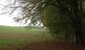 Tocht Te voet Volkmarsen - Hessenweg 6, Abschnitt Volkmarsen - Westuffeln - Photo 7