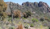 Tocht Stappen Roquebrune-sur-Argens - Rocher de Roquebrune  - Photo 3