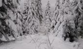 Tocht Ski randonnée Vagney - haut du tot - Photo 1