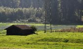 Randonnée A pied Fehraltorf - Fehraltorf - Nänikon-Greifensee - Photo 5