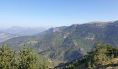 Tour Wandern Sigoyer - Montee de la petite Ceüz - Photo 10