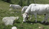 Tour Wandern Isola - Isola 2000, Tete Mercière et lac de Tavels - Photo 1
