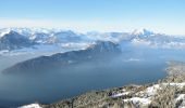 Tour Zu Fuß Arth - Hinder Dossen - Rigi Klösterli - Photo 10