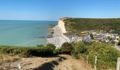 Tour Wandern Sassetot-le-Mauconduit - Sassetot - Photo 5