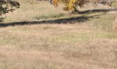 Tocht Te voet Castelnovo ne' Monti - Sentiero Natura dei Gessi Triassici - Mulino di Vologno - Vologno - C. Loppi - Pietra di Bismantova - Carnola - Photo 2