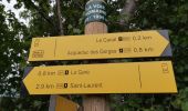 Tour Wandern Forest-Saint-Julien - Aqueduc des Gorges. Circuit des Caneaux. 10/06/19. - Photo 1