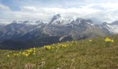 Randonnée Marche Tréminis - Treminis :  Montagne de Paille, col de la Croix. - Photo 3