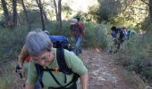 Trail Walking Allauch - pichauris - Photo 1