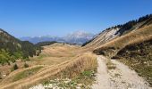 Trail Walking Bellecombe-en-Bauges - banc plat - Photo 3