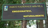 Trail On foot Taverna - (SI U16) Villaggio Mancuso - Villaggio Buturo - Photo 4