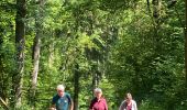 Tour Wandern Houyet - Houyet - Photo 3