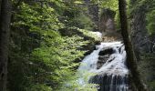 Trail Walking Torla-Ordesa - cascade estrecho - Photo 12