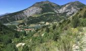 Tocht Mountainbike Veynes - Cols de Villauret et des Priourets - Photo 3